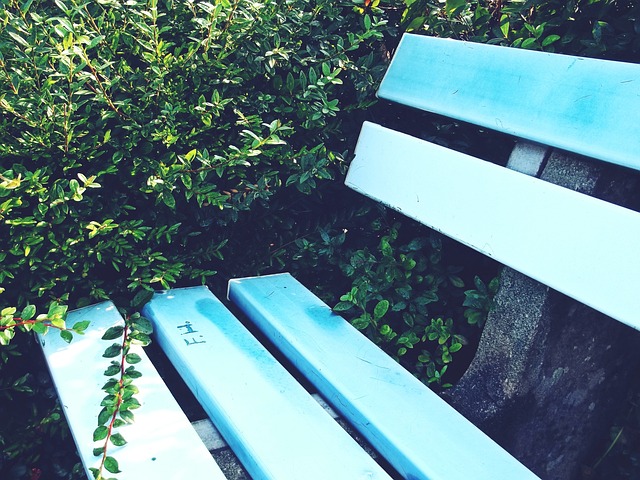 竞技舞台 竞技舞台