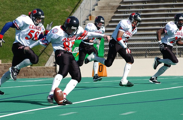 于体育领域 于体育领域