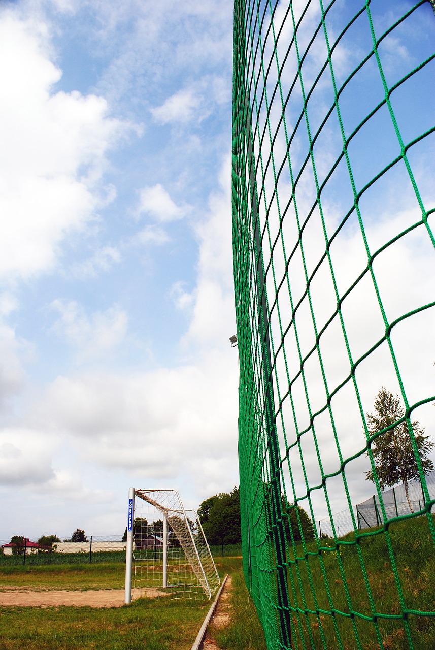 整体的竞技 整体的竞技