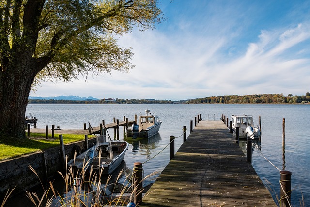 尊重我的队 尊重我的队