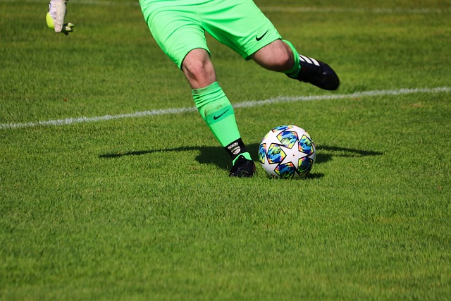 但他的高薪 但他的高薪