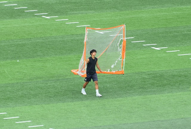 革提升的关